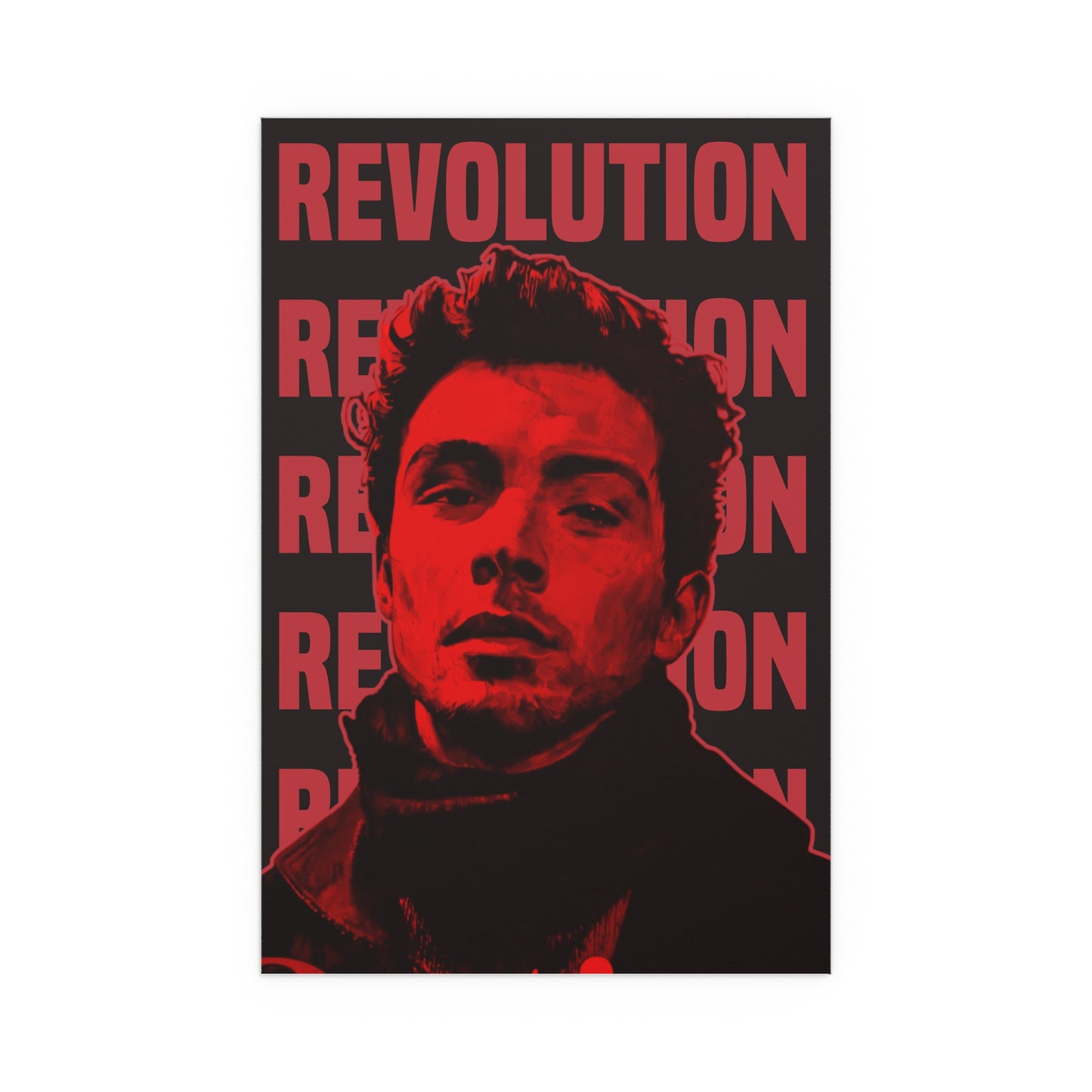 Luigi Mangione - Revolution poster